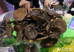 第9屆義烏森博會首設(shè)國家精準(zhǔn)扶貧展區(qū)